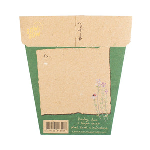 Sow 'n Sow - Gift of Seeds - Christmas Herbs