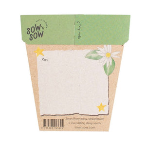 Sow 'n Sow - Gift of Seeds - Christmas Native Daisies