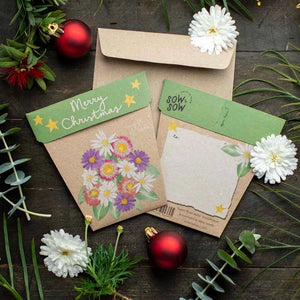 Sow 'n Sow - Gift of Seeds - Christmas Native Daisies