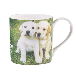 Ashdene - Guide Dogs Australia 4pce Mug Set
