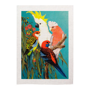 Tea towel - Australian Birds - Mixed